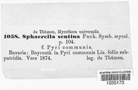 Image Associated With the Occurrence